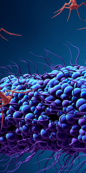 Biologische bestrijding van hardnekkige pathogenen