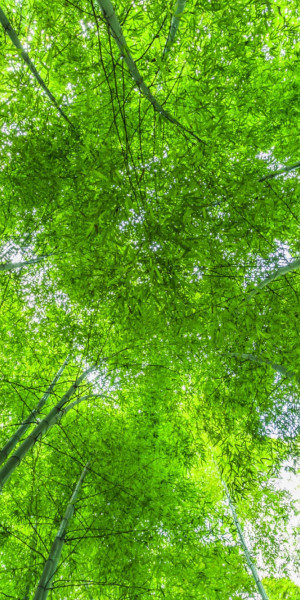 Verduurzaming vraagt om omdenken